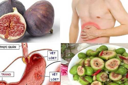 Người Việt vẫn "dửng dưng" thờ ơ gọi nó là quả dại trong khi cả thế giới lùng sục để chữa ung thư