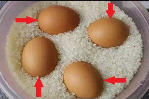 Bỏ một quả trứng vào trong hũ gạo, kết quả sẽ khiến bạn ngỡ ngàng đến khó tin