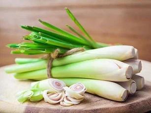 Bị những bệnh này đừng đi viện tốn tiền, cứ đun sả uống theo cách này là khỏi dứt điểm