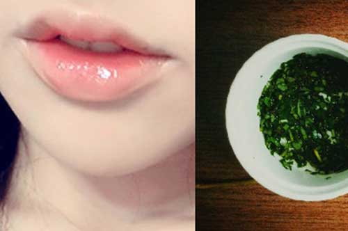 Đây chính là 'thần dược' trị môi thâm xì kém đẹp cho phái đẹp