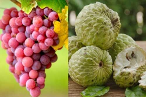 8 loại quả ngon nhưng tránh ăn vào buổi tối nếu không muốn tăng cân, béo phì