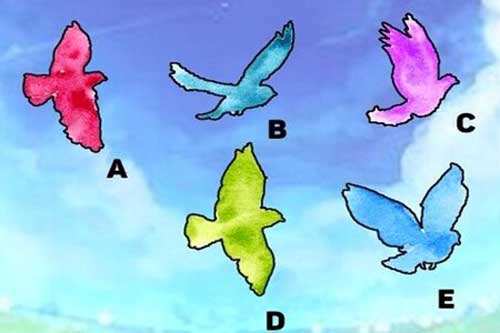 Trắc nghiệm: Chỉ số may mắn của bạn cao hay thấp?