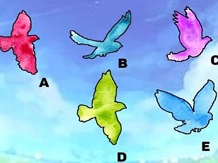 Trắc nghiệm: Chỉ số may mắn của bạn cao hay thấp?