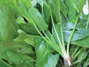 "Siêu thực phẩm" chống lại bệnh thiếu máu bạn cần bổ sung ngay