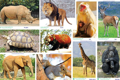 Thủ tướng chỉ thị dừng nhập khẩu động vật hoang dã