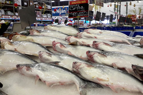 Không để xuất khẩu cá tra ‘tự bơi giữa các cơn sóng thần’