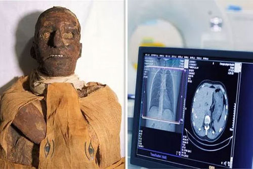 Phát hiện rùng rợn về cái chết của pharaoh Ai Cập