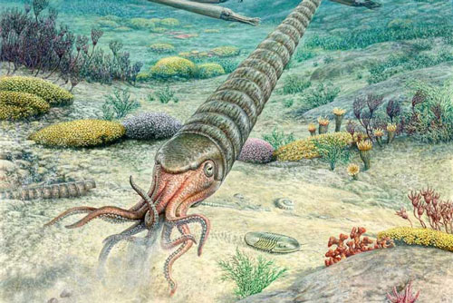 Núi lửa khổng lồ từng xoá sạch sự sống trên Trái đất