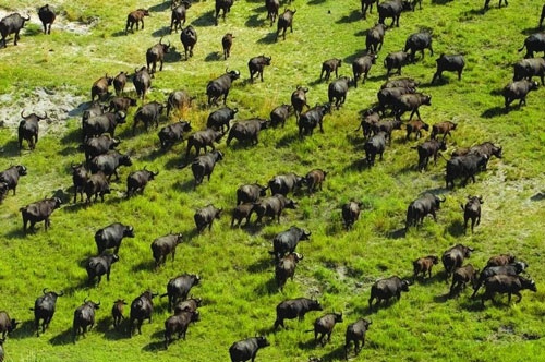 Khám phá ‘thiên đường’ của các loài động vật, nơi được UNESCO công nhận là ‘di sản văn hóa thế giới’