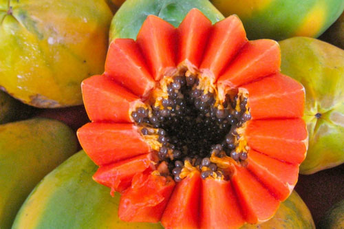 Người bị bệnh thận có nên ăn đu đủ không?