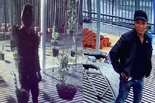 Thuê ô tô từ Lâm Đồng đến Đồng Nai trộm 2 giỏ lan đột biến gen 750 triệu đồng