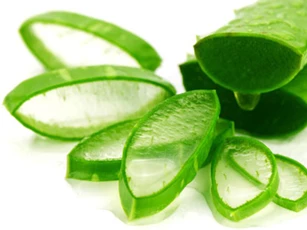 Dùng nha đam (lô hội) kiểu này tốt hơn 'nhân sâm Hàn Quốc', vừa giúp ngừa ung thư lại tốt cho sức khỏe