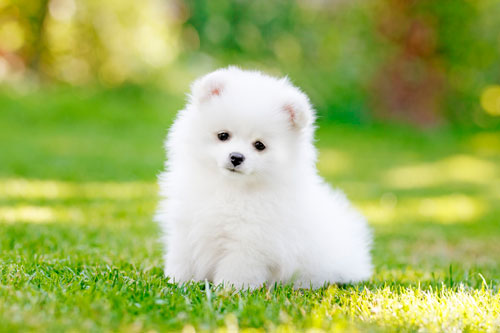 Top 3 con giáp dễ 'cầu được ước thấy', giàu có hết phần thiên hạ trong 5 ngày cuối tháng 7 Dương lịch