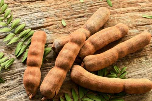 Lợi ích quý giá của quả me với sức khỏe con người