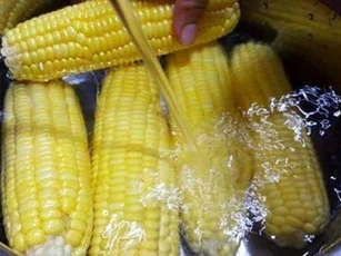 Bỏ thứ này vào luộc ngô giúp món ăn ngọt lừ, ai cũng "chết mê chết mệt"