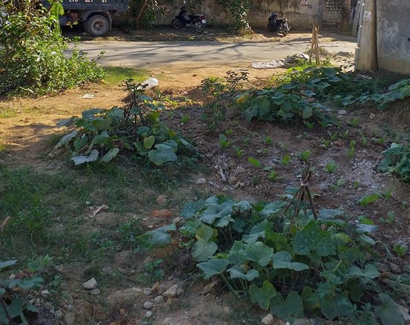 Điện Biên: Viện Kiểm sát quan tâm đến kế sinh nhai của người muốn hoàn lương đang chới với