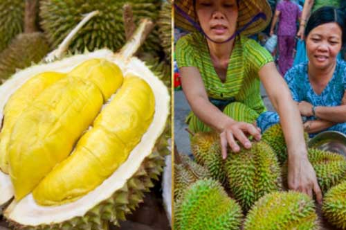 Cách chọn sầu riêng "bách phát bách trúng", đảm bảo nhiều cơm lại ngọt lịm, không sượng