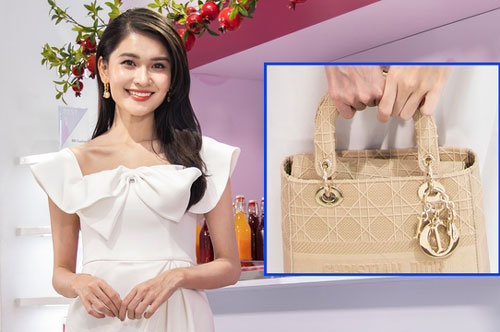 Á hậu Thùy Dung xách túi 100 triệu đồng đi event
