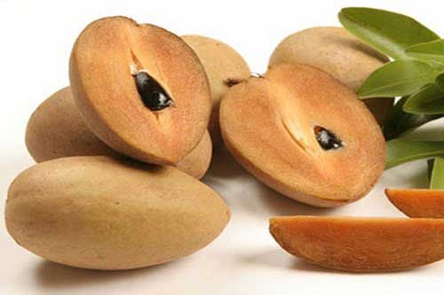 Bị bệnh này đừng tốn tiền mua thuốc tây hãy lấy ngay quả hồng xiêm là khỏi