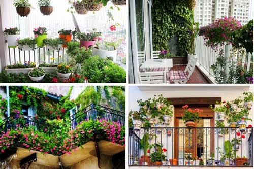 Trồng hoa ban công dễ hút tài lộc vào nhà, gia chủ lúc nào cũng hòa thuận êm ấm