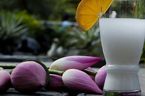 Dùng bột sắn dây thế nào mới an toàn và đạt được hiệu quả tốt?