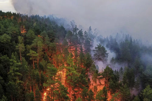 Cháy rừng là một trong những nguyên nhân dẫn đến tình trạng nóng lên toàn cầu. (Ảnh: AP)