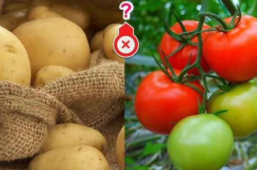 Ăn 5 loại thực phẩm này với cà chua dễ biến thành "độc dược", nguy hại khó lường, chớ dại mà mắc phải