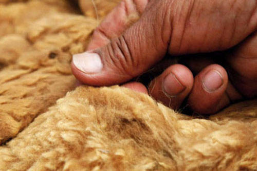 "Giật mình" với những loại vải đắt nhất thế giới, loại đặc biệt làm từ vụn kim cương