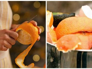 Đặt 1 miếng vỏ cam ra vườn theo cách này, sáng "dụi mắt 3 lần" xem điều kỳ diệu sau 1 đêm