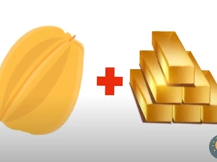 CLIP: Bạn có thể đoán ra tên của truyện cổ tích qua những câu đố này không?