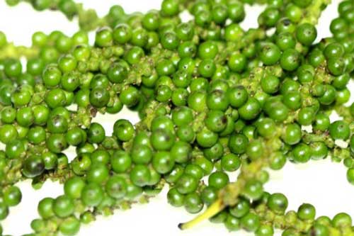Hạt tiêu xanh tốt cho sức khỏe của bạn như thế nào?