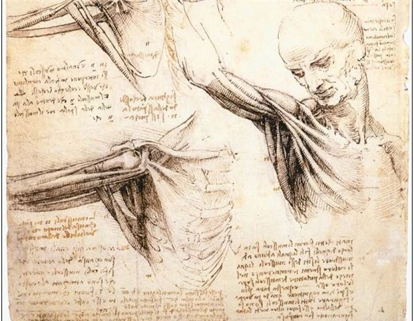 5 thiết kế vượt thời gian của Leonardo da Vinci