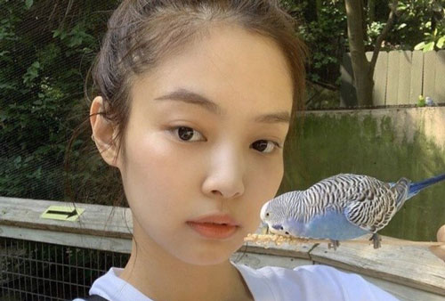 Vì sao Jennie (Black Pink) được gọi là 'nữ thần mặt mộc'?