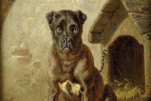 Những bí ẩn không ngờ về hồn ma động vật