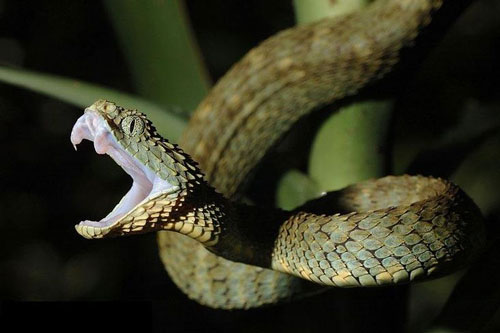 Top 4 con giáp dễ được 'quý nhân soi đường chỉ lối', gặt hái thành công ngoài mong đợi, tiền nhiều 'đếm không xuể' trong 5 tháng tới