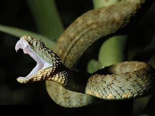 Top 4 con giáp dễ được 'quý nhân soi đường chỉ lối', gặt hái thành công ngoài mong đợi, tiền nhiều 'đếm không xuể' trong 5 tháng tới