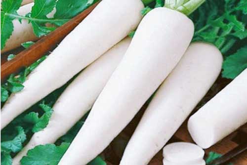 Mỗi ngày một củ “nhân sâm mùa đông” giá rẻ bèo nhưng công dụng khiến ai cũng bất ngờ