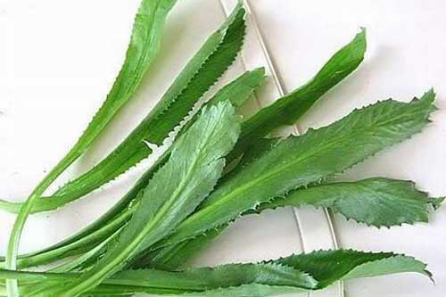 Bị những bệnh này đừng thừa tiền mua thuốc tây lấy mùi tàu dùng là khỏi ngay