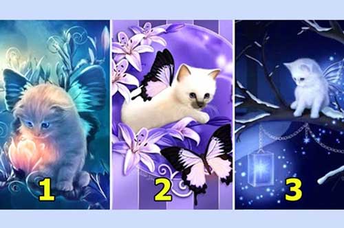 Trắc nghiệm: Tiết lộ 2 ưu điểm lớn nhất về bạn qua hình ảnh chú mèo