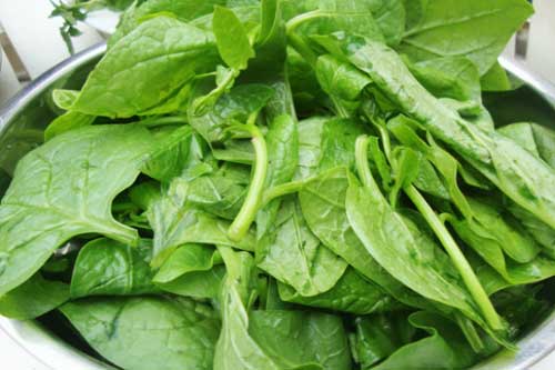 3 loại rau trong mùa hè bạn cần thận trọng trong khi ăn