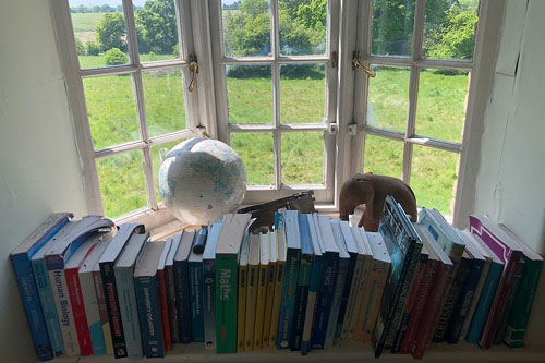 Biệt thự triệu USD bí ẩn bị bỏ hoang