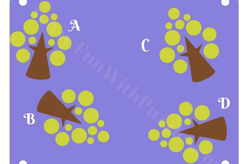 Thị lực 10/10 cũng khó tìm ra chi tiết khác biệt trong 15 giây