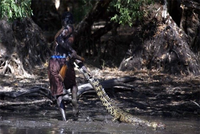 Bộ tộc 60 ngàn năm săn lùng cá sấu trong rừng thẳm