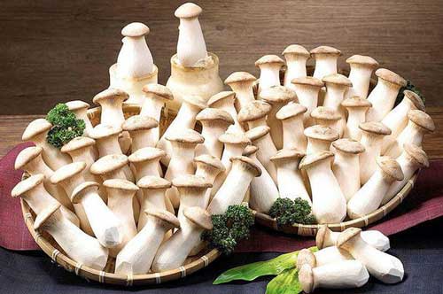 5 loại nấm là "thần dược" cho sức khoẻ, giúp giải độc, tăng cường sức khỏe mỗi ngày