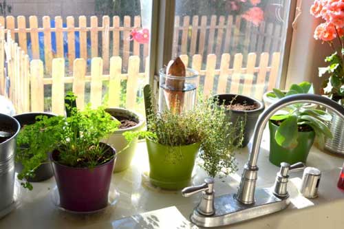 Đúng 0 giờ đặt thứ này trong nhà bếp, cả ngày có thể "ngồi rung đùi đếm tiền" mỏi tay