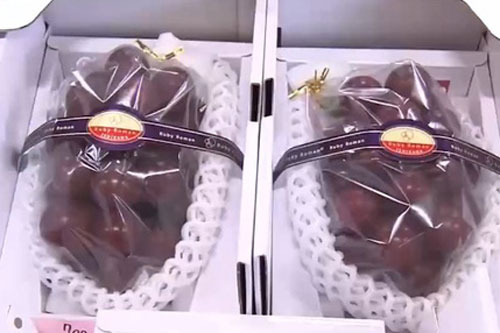 Chùm nho được bán giá kỷ lục hơn 283 triệu đồng