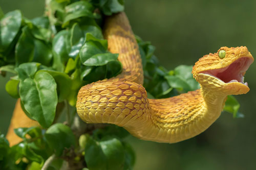 Top 3 con giáp dễ gặp may mắn đủ đường, 'đánh đâu thắng đó', giàu to bất ngờ trong tháng 6 Âm lịch