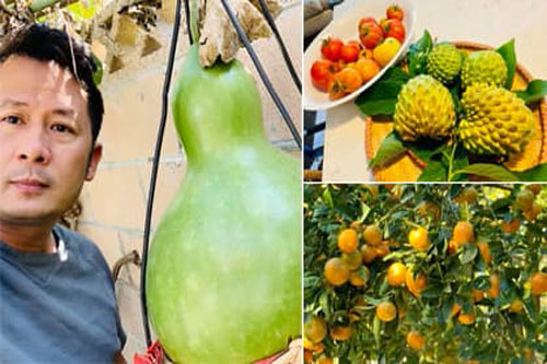 Ca sĩ Bằng Kiều khoe hoa quả thu hoạch trong vườn nhà, nhìn là mê