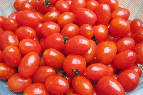 Mách các mẹ cách làm sinh tố cà chua bi bổ dưỡng cho trẻ