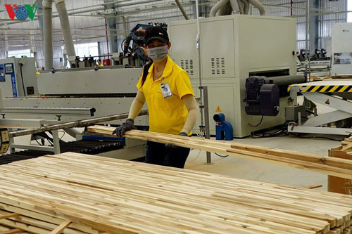 Nhiều rủi ro trong quản lý xuất nhập khẩu mặt hàng gỗ và đồ gỗ